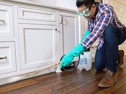 Best Real Estate Pest Inspections  in Newberry, SC